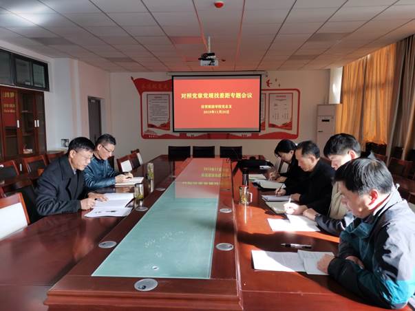 对照党章党规找差距 对照党章党规找差距